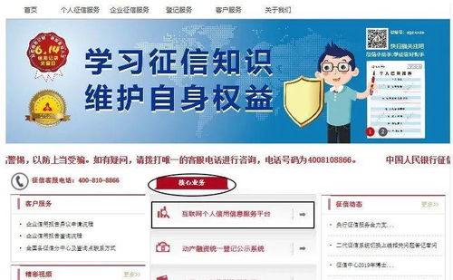 征信報(bào)告全解析 內(nèi)容、查詢方式與個(gè)人互聯(lián)網(wǎng)服務(wù)指南